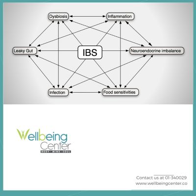 A Visual Guide To Generalized Anxiety Disorder Wellbeing Center Middle East