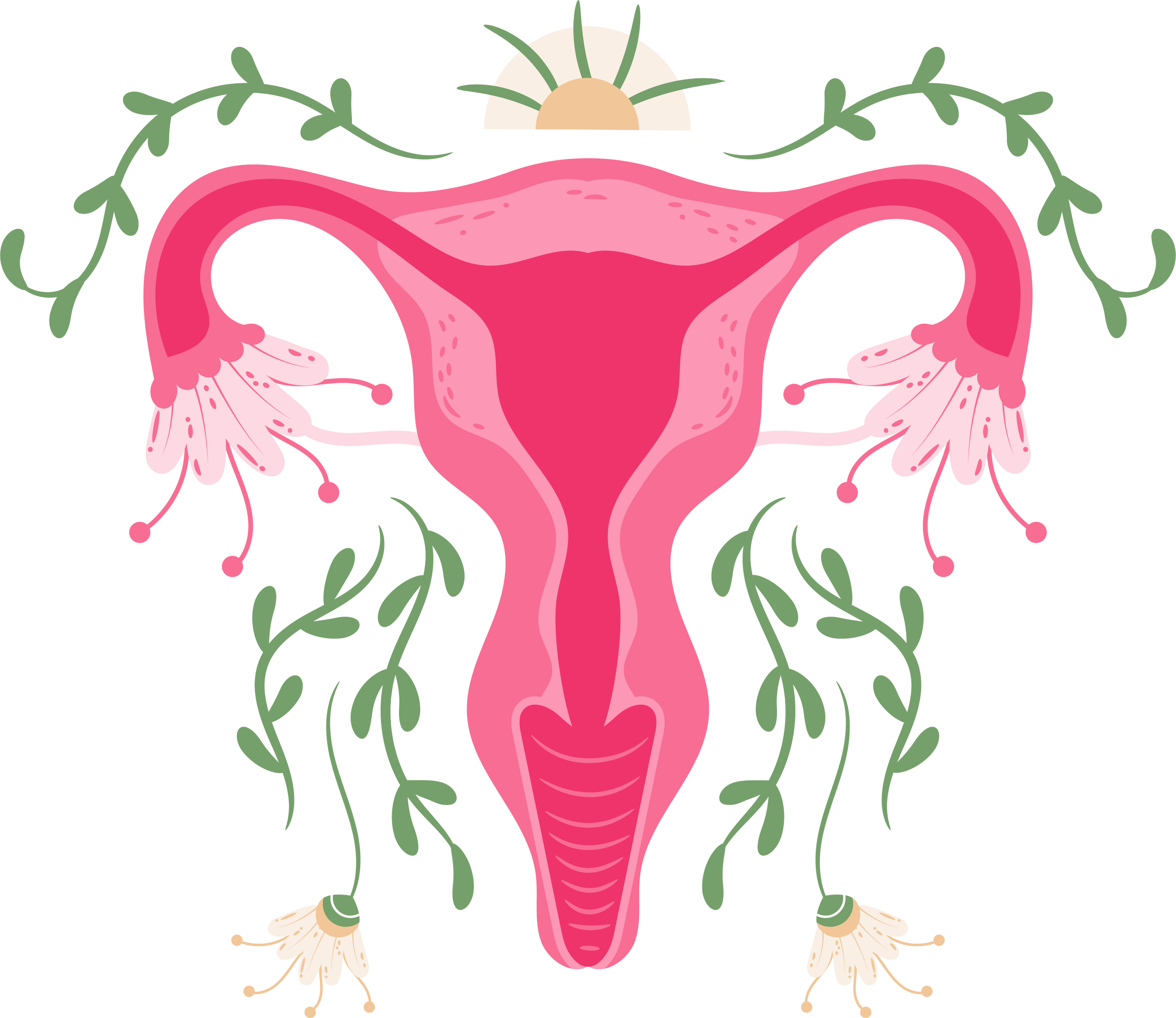 FEMININE AWAKENING PATH TEMPLE OF THE WOMB - Certified Course