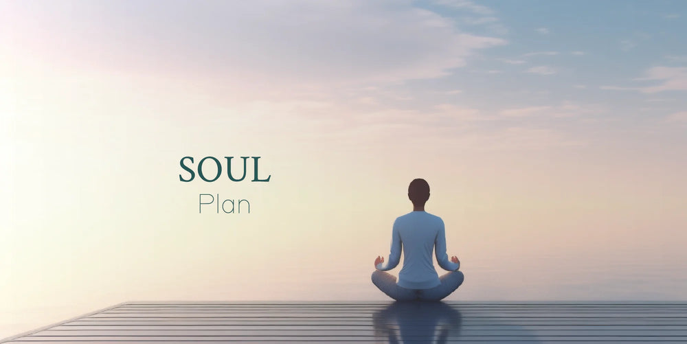 Soul Plan - Service Booking